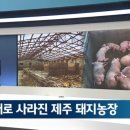 만진농장 이미지