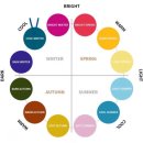 퍼스널 컬러 이미지