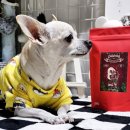 마미나은 이미지