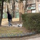 어등 어린이공원 네이버블로그