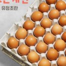 유정농장(2) 이미지