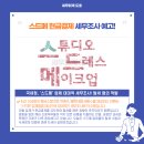 세무회계도호
