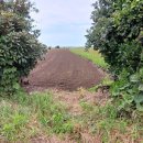 상모리-12 이미지