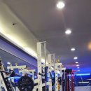 비바 휘트니스 이미지