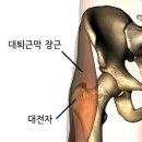 강변정형외과의원 이미지