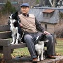 스타 반려견 교육센터 이미지