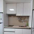 사우스 오아시스 이미지