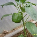 대근농장 이미지