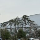 아미 | BTS 월드투어 아리랑 콘서트 필수 준비물!! 아미밤 현장구매 후기