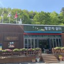 솔향수목원(방문자쉼터) 이미지