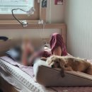 [영주권일기_126]현재 밴쿠버 분위기 보여드림