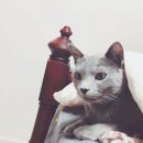 김여사의셀프빨래방