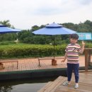 인삼랜드 휴게소(하) 이미지