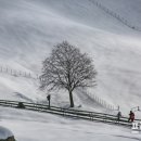 홍원목장 이미지