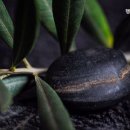 행복한요양원 - 청주시 상당구 | 행복한요양원