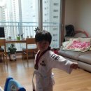 동하태권도 이미지