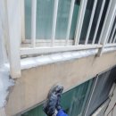 제니스타운 이미지