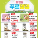 야옹아멍멍해봐 이미지