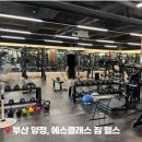 에스피티 | 부산 양정 | 에스클래스 짐 헬스 피티 상담 솔직 후기