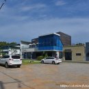 종명농장 | 고창 학원농장 해바라기 만개