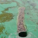 서호동-3 이미지