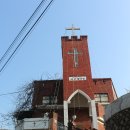 능수탕 Daum카페