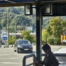 (주) 보금자리 | 25년 10월 세종살이 결산 - 새 직장 및 보금자리 적응중