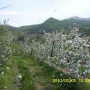 참이슬 농원 이미지