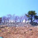 울산 일본왜성 서생성 이미지