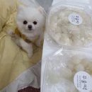 의신떡방앗간 이미지