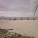 증도초등학교 이미지