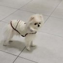 해랑동물병원 이미지