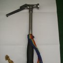 허밍버드 이미지