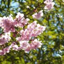 부산배화학교 이미지