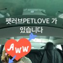 해피 펫 택시 이미지