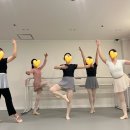 보드레핏 이미지