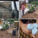 선유펜션 이미지