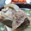 금천리 산수유 네이버블로그