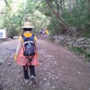 송강초등학교 이미지