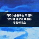 그린재활의학과(금강스마트빌딩) | 척추수술종류는 무엇이 있으며 각각의 특징은 무엇인가요