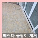 수원-0944 이미지