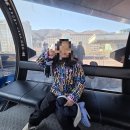 비발디파크스노위랜드 티스토리