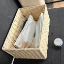 주차61 | 고성에서 서핑, 카페, 포차까지 다 한번에 가능하다고 ? 서프 61 솔직후기