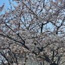 까치공원 이미지