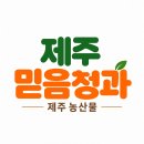 🍊 제주 유라조생 감귤 산지직송 이미지