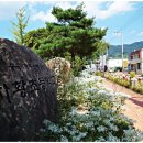 차황초등학교 네이버블로그
