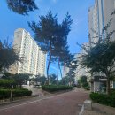 창원중앙부동산중개사무소 이미지