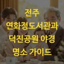 덕진-50 | 전주 연화정도서관과 덕진공원 야경 명소 가이드