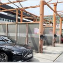 심마니네 약초백숙 이미지