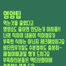 내몸의청소부